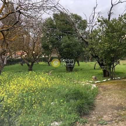 Οικόπεδο 1.000 τ.μ. για πώληση, Αθήνα - Βόρεια Προάστια, Μαρούσι