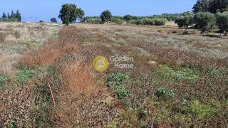 Αγροτεμάχια 9.500 τ.μ. για πώληση