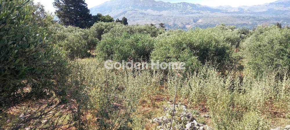 Οικόπεδο 1.206 τ.μ. προς πώληση, Σούρη