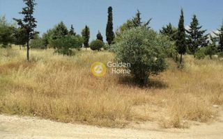 Οικόπεδο 11.600 τ.μ. για πώληση
