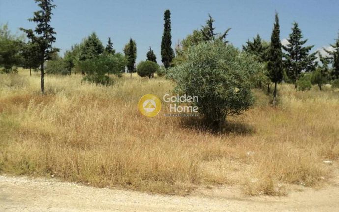 Οικόπεδο 11.600 τ.μ. για πώληση, Κυκλάδες, Πάρος