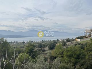 Οικόπεδο 1.029 τ.μ. για πώληση