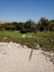 Οικόπεδο 623 τ.μ. για πώληση