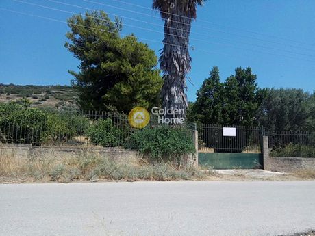Parcel 10.000 sqm for sale