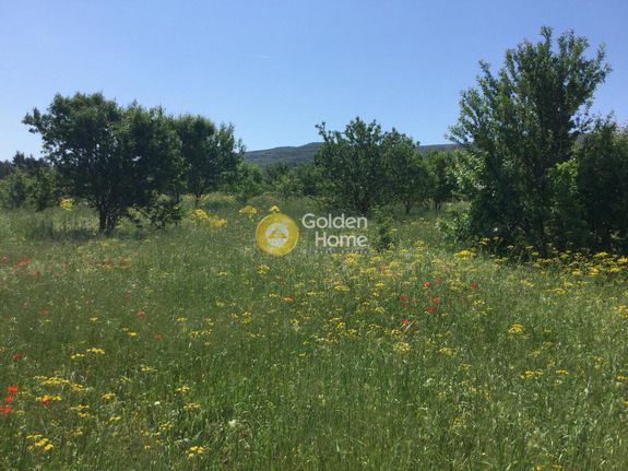 Parcel 4.606 sqm for sale, Thessaloniki - Suburbs, Thermi