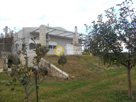 Detached home 400 sqm for sale