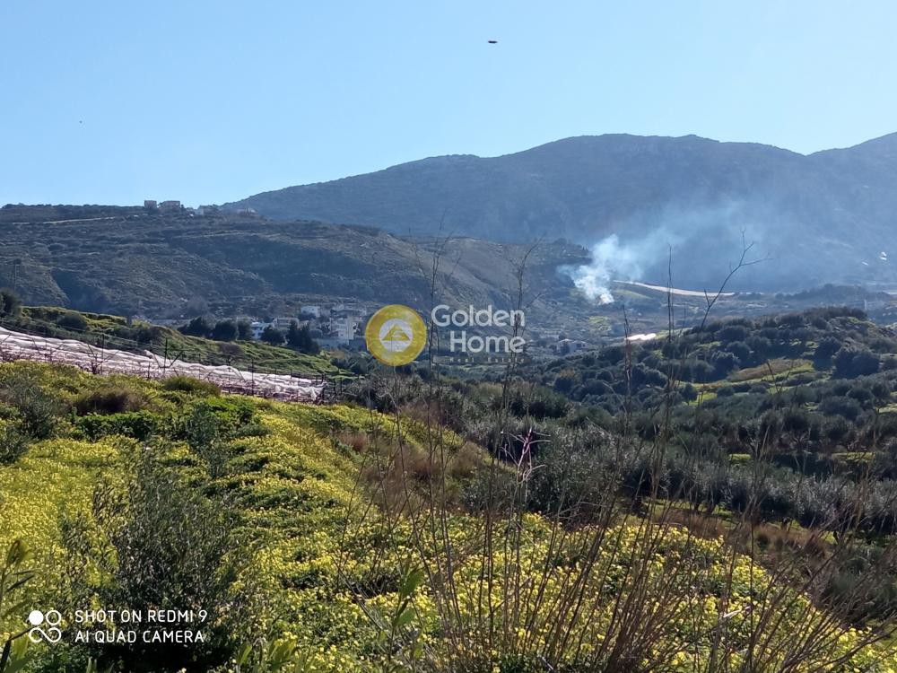 Αγροτεμάχια 5.000 τ.μ. προς πώληση, Άγιος Βλάσιος Ηρακλείου