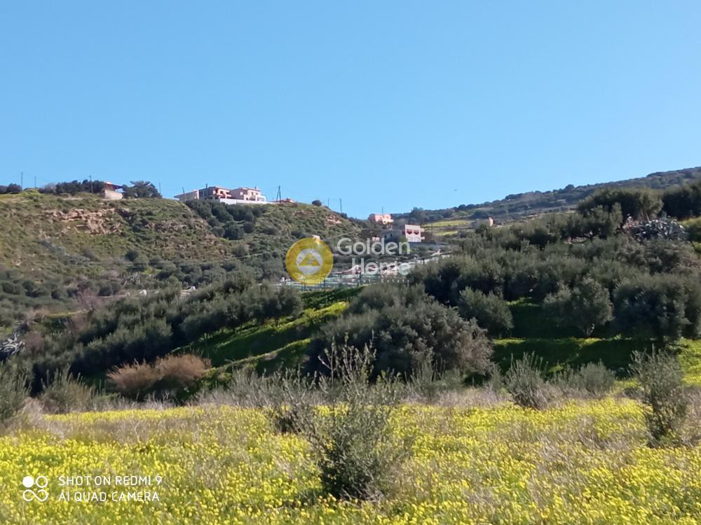 Αγροτεμάχια 5.000 τ.μ. προς πώληση, Άγιος Βλάσιος Ηρακλείου