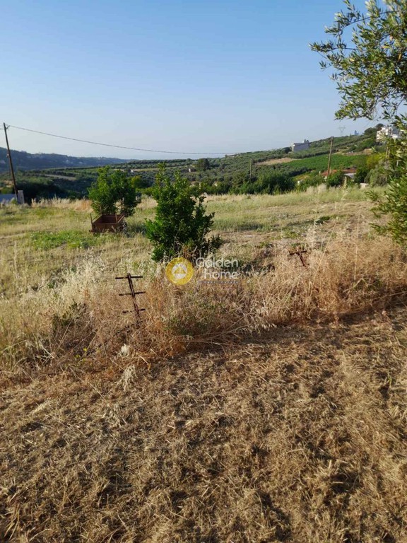 Οικόπεδο 441 τ.μ. προς πώληση, Σταυράκια
