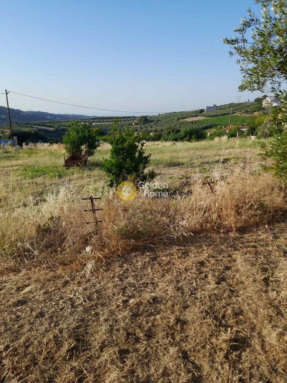 Οικόπεδο 441 τ.μ. προς πώληση, Σταυράκια