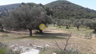 Οικόπεδο 4.200 τ.μ. για πώληση