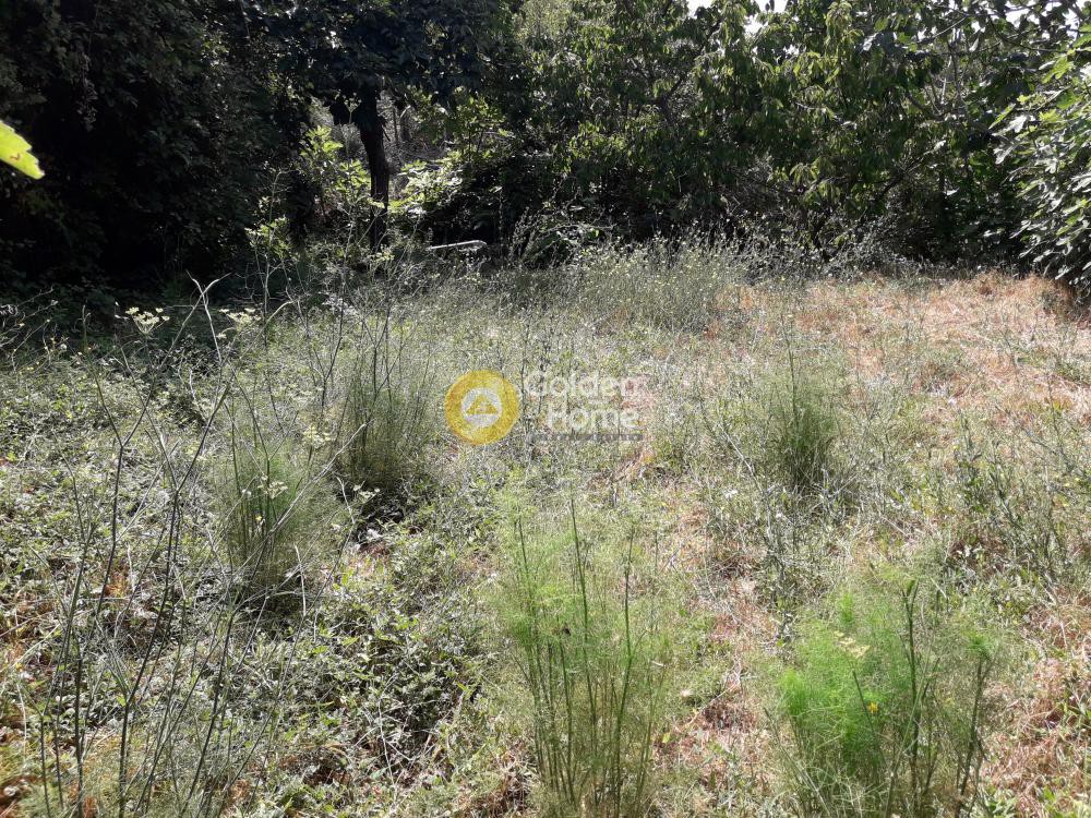 Οικόπεδο 150 τ.μ. προς πώληση, Γκούρα Φενεού