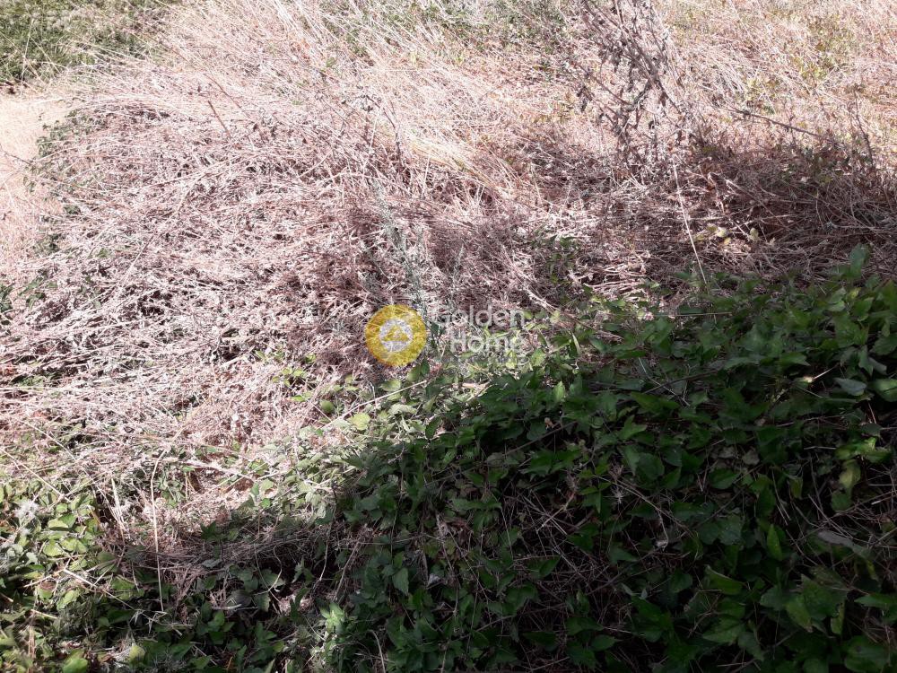 Οικόπεδο 150 τ.μ. προς πώληση, Γκούρα Φενεού