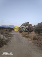 Οικόπεδο 25.000 τ.μ. για πώληση