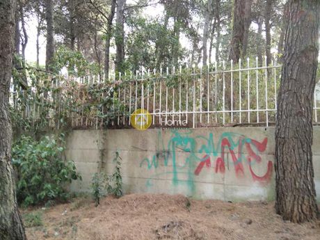 Οικόπεδο 449 τ.μ. για πώληση