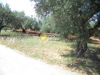 Οικόπεδο 200 τ.μ. για πώληση, Ν. Καρδίτσας, Σοφάδες-thumb-2