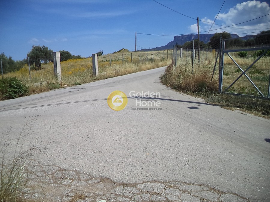 Οικόπεδο 200 τ.μ. για πώληση, Ν. Καρδίτσας, Σοφάδες