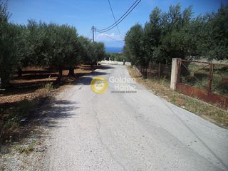 Οικόπεδο 200 τ.μ. για πώληση, Ν. Καρδίτσας, Σοφάδες-thumb-1