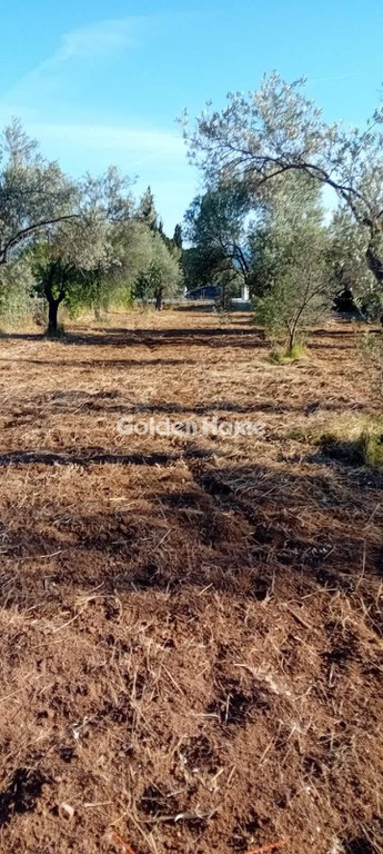 Οικόπεδο 4.000 τ.μ. προς πώληση, Κουκάκι Αμαρύνθου
