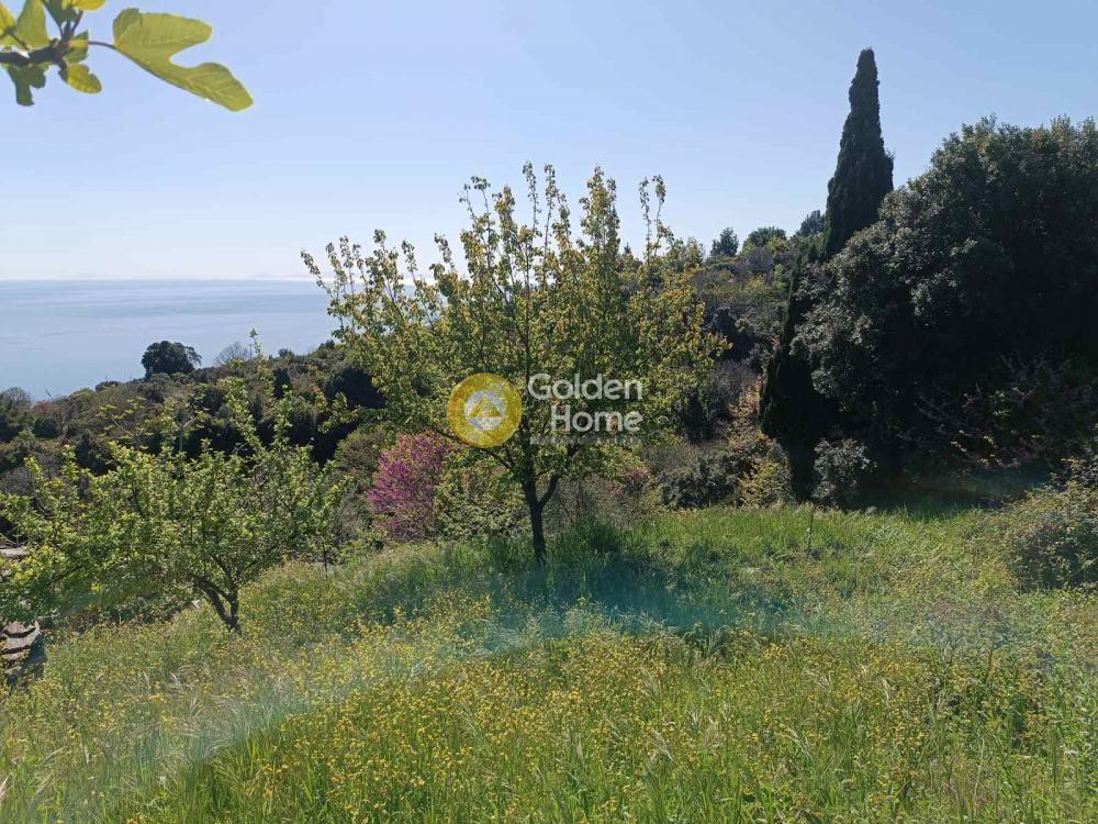 Οικόπεδο 531 τ.μ. πρός πώληση, Μαγνησία, Αφέτες