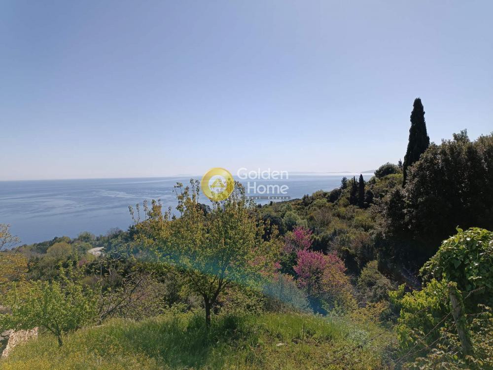 Οικόπεδο 531 τ.μ. πρός πώληση, Μαγνησία, Αφέτες