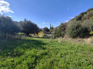 Οικόπεδο 4.133 τ.μ. για πώληση, Αχαΐα, Ρίο-thumb-5