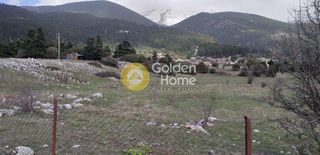 Αγροτεμάχια 4.015 τ.μ. για πώληση