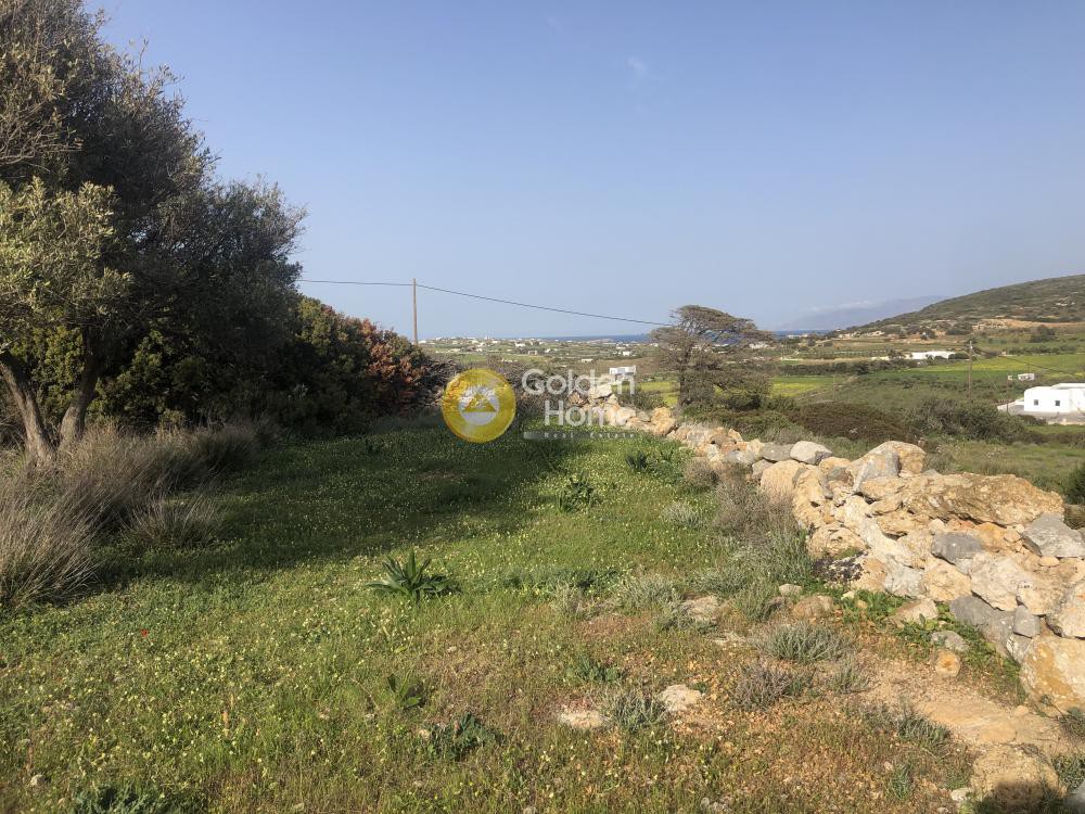 Αγροτεμάχια 16.759 τ.μ. προς πώληση, Ιστέρνι
