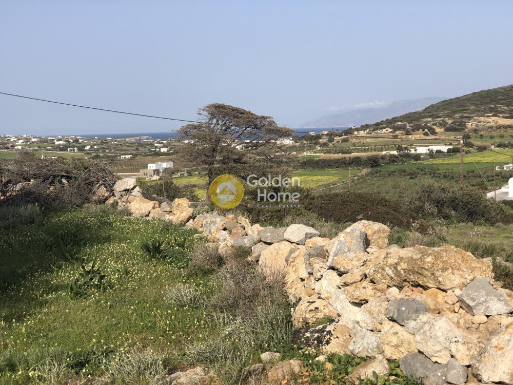 Αγροτεμάχια 16.759 τ.μ. προς πώληση, Ιστέρνι