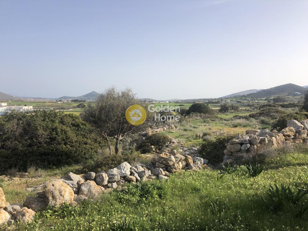 Αγροτεμάχια 16.759 τ.μ. προς πώληση, Ιστέρνι