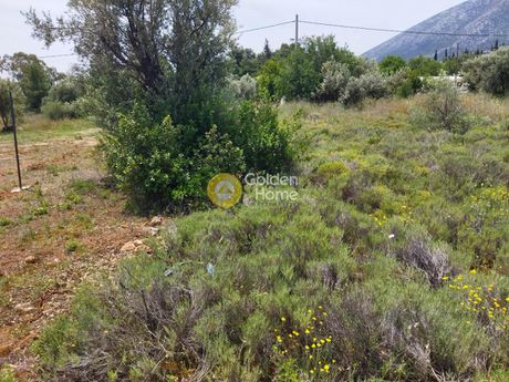 Land plot 550 sqm for sale