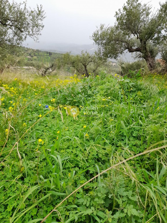 Οικόπεδο 938 τ.μ. προς πώληση, Βασιλείες