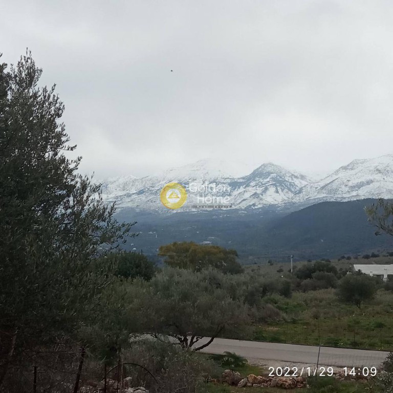 Οικόπεδο 3.151 τ.μ. προς πώληση, Ζαχαριάς