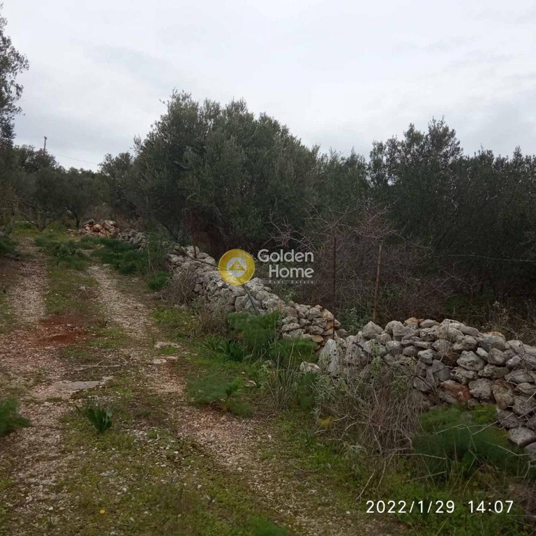 Οικόπεδο 3.151 τ.μ. προς πώληση, Ζαχαριάς