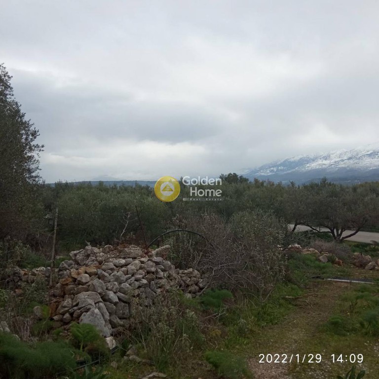 Οικόπεδο 3.151 τ.μ. προς πώληση, Ζαχαριάς