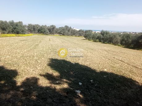 Αγροτεμάχια 3.222τ.μ. για πώληση-Γάζι » Κολλυβάς