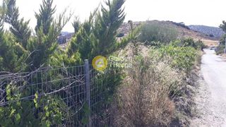 Αγροτεμάχια 5.500 τ.μ. για πώληση