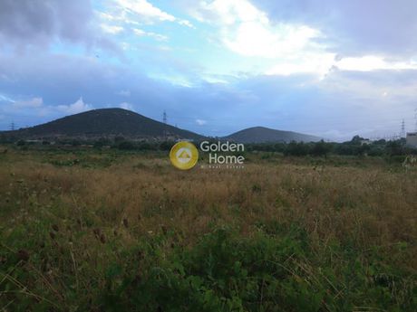 Land plot 10.000sqm for sale-Markopoulo » Center