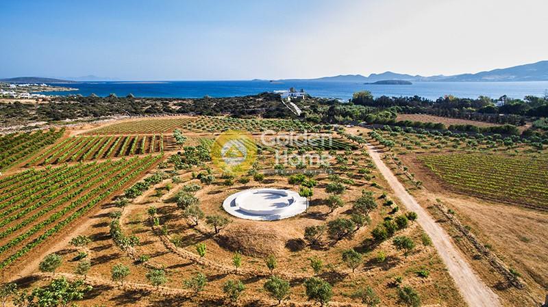 Οικόπεδο 48.500 τ.μ. προς πώληση, Βουτάκος