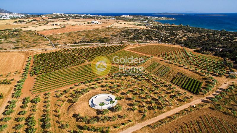 Οικόπεδο 48.500 τ.μ. προς πώληση, Βουτάκος