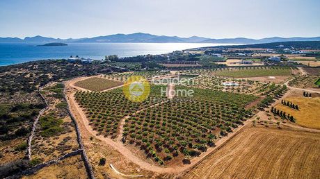 Land plot 48.500sqm for sale-Paros » Voutakos