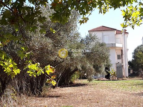 Μεζονέτα 280τ.μ. για πώληση-Πολυδένδρι