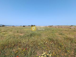 Αγροτεμάχια 4.849 τ.μ. για πώληση