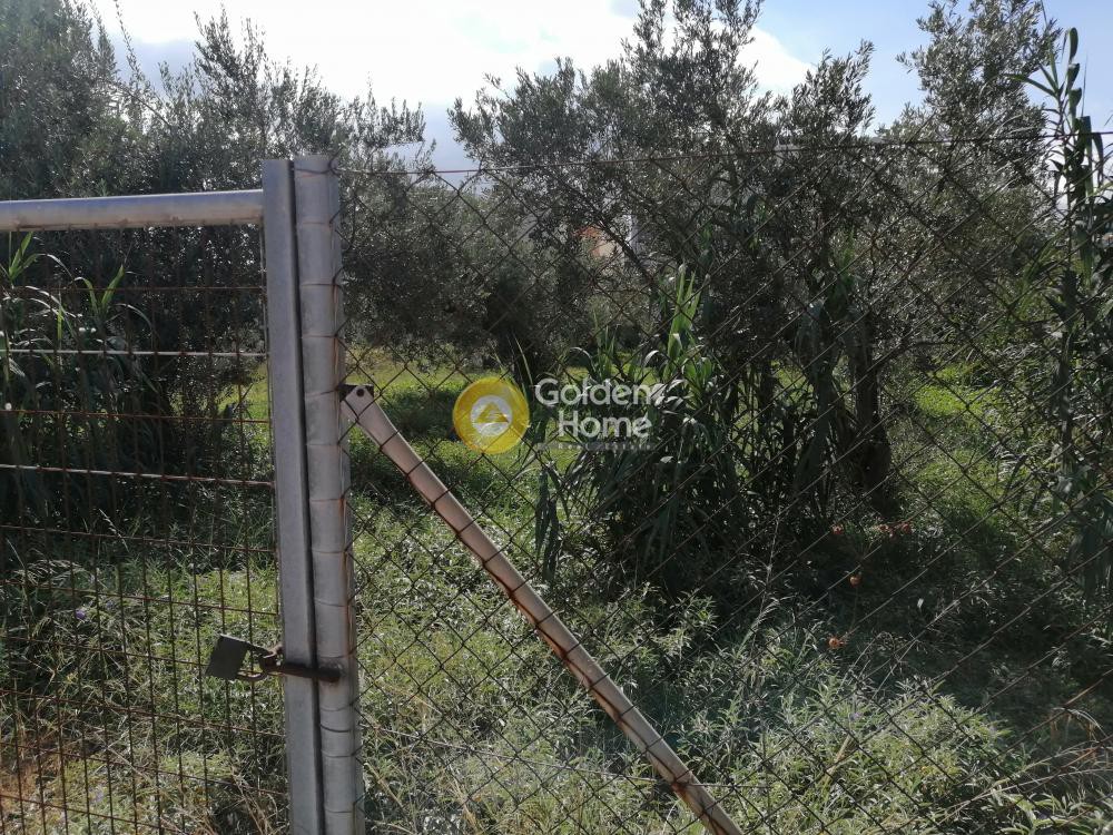 Οικόπεδο 724 τ.μ. προς πώληση, Αρχαίο Λιμάνι Κορίνθου