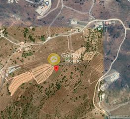 Αγροτεμάχια 13.000 τ.μ. για πώληση
