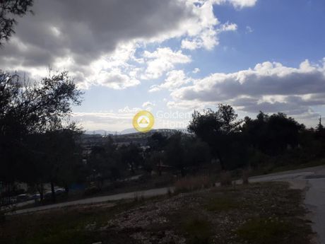 Αγροτεμάχια 276 τ.μ. για πώληση