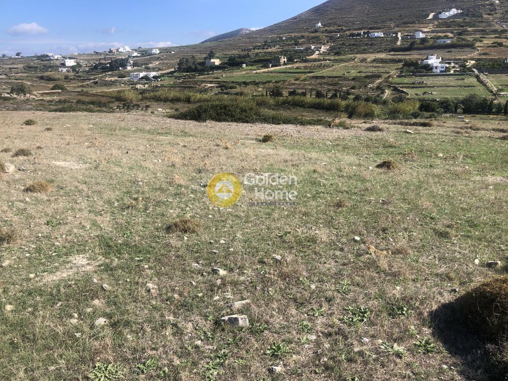 Αγροτεμάχια 16.840 τ.μ. προς πώληση, Καλάμι Πάρου
