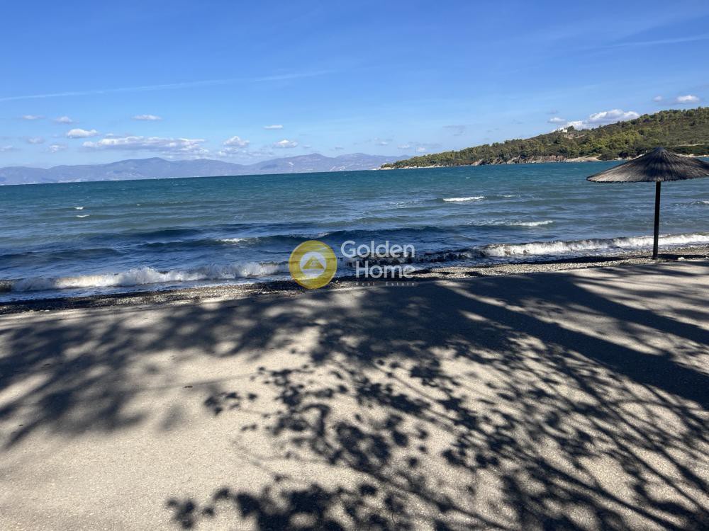 Κατάστημα 63 τ.μ. προς ενοικίαση, Τραγάνα Αταλάντης
