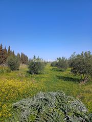 Οικόπεδο 1.052 τ.μ. για πώληση