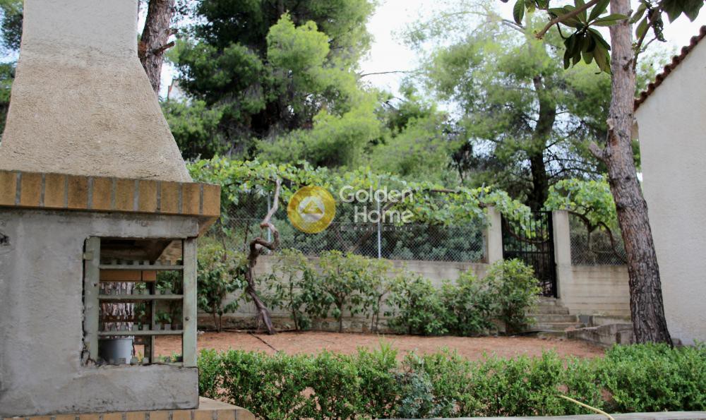 Detached home 250 sqm for sale, Theologos, Malesina